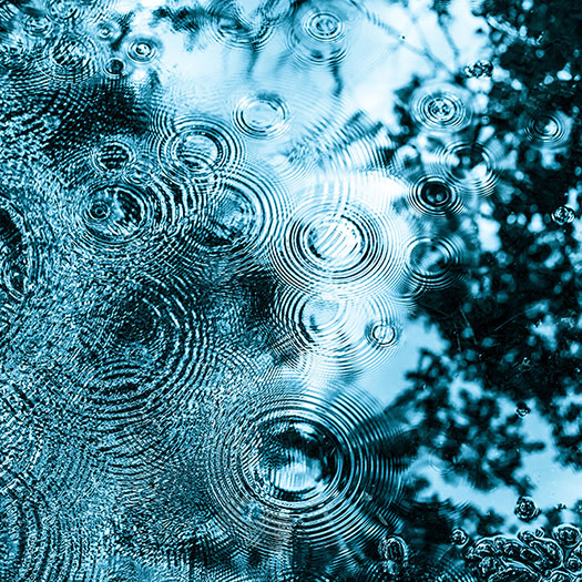 雨の波紋の画像